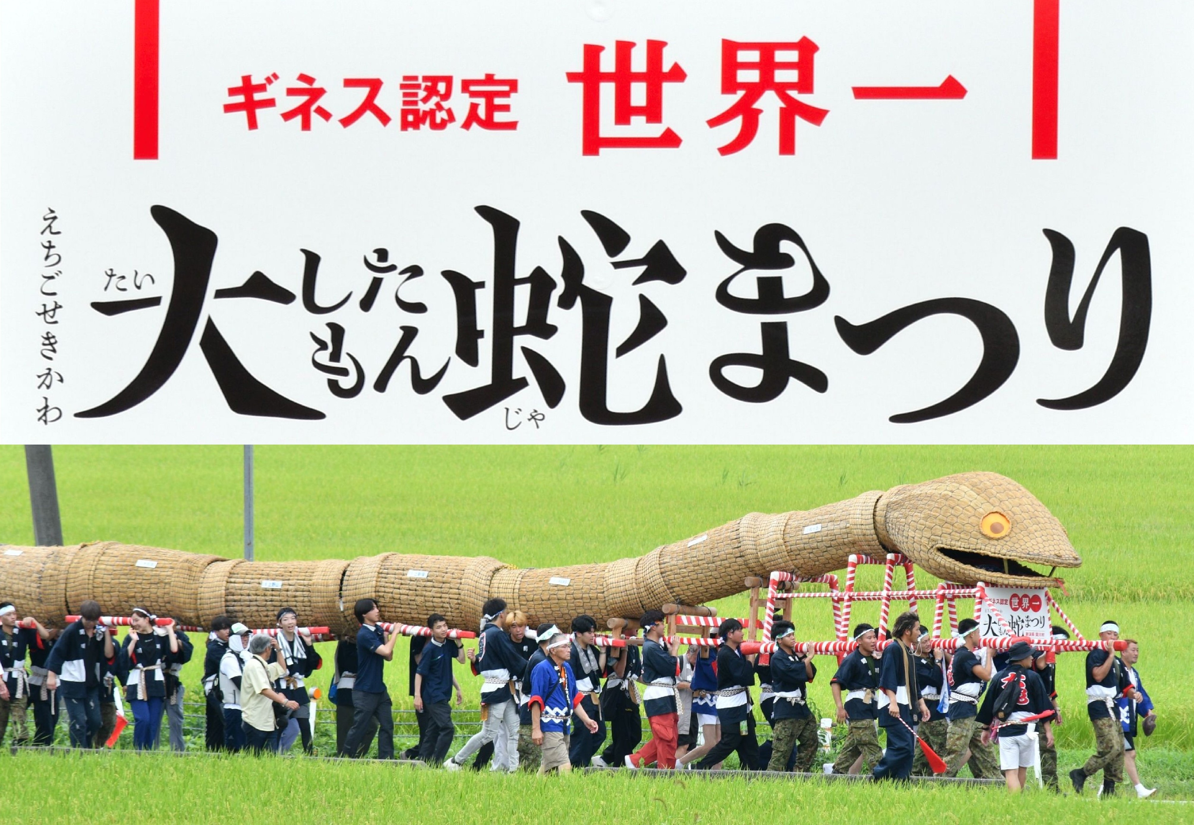2026大したもん蛇まつり