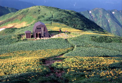 杁差岳　山頂避難小屋とニッコウキスゲ