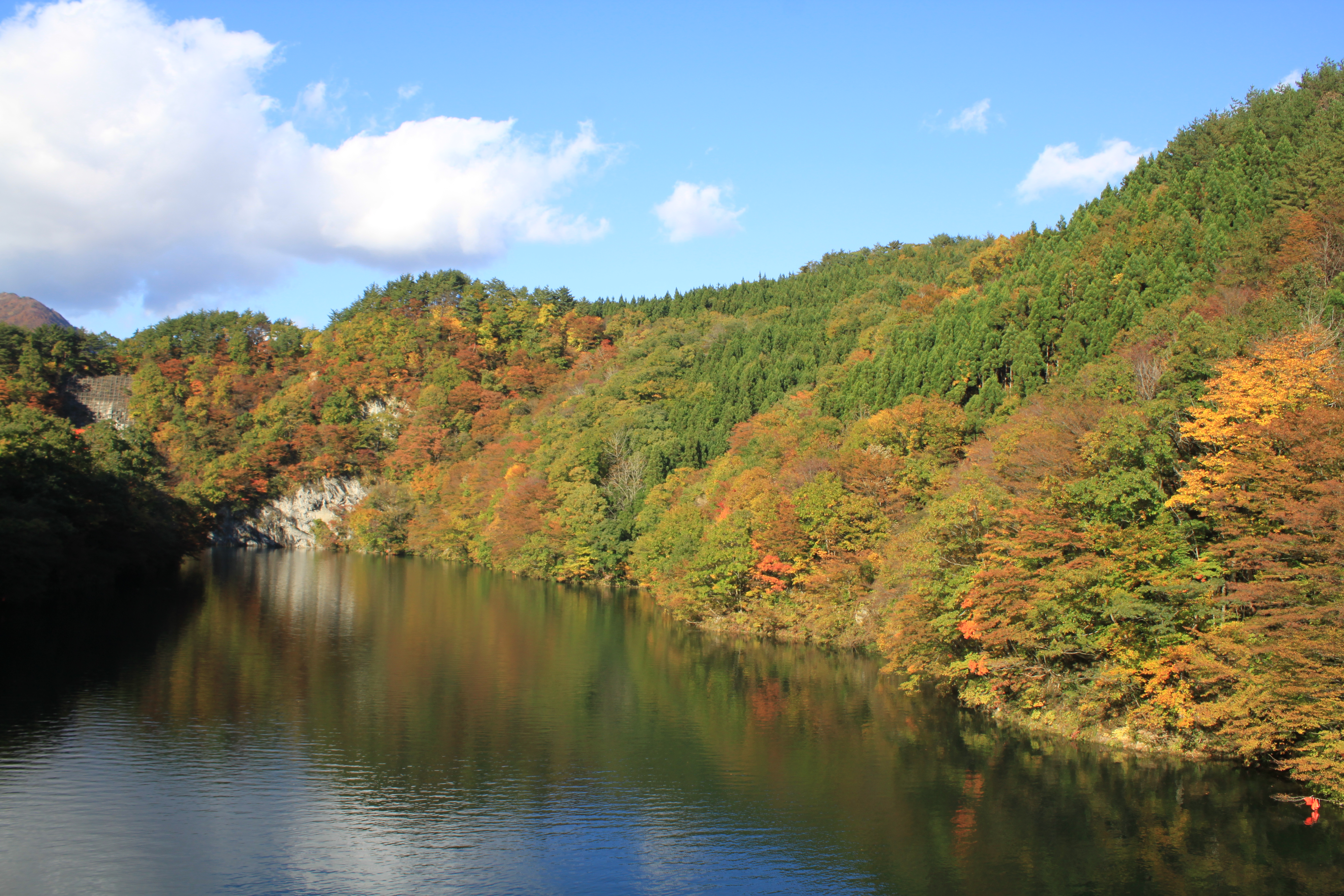 紅葉の金丸大橋付近